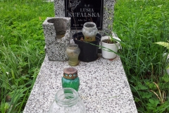 IS_20150731_121735