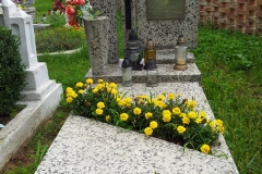 IS_20150731_122306