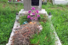 IS_20150731_122537