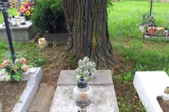 IS_20150731_122610