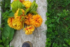 IS_20150731_122815