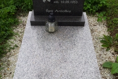 IS_20150731_122935