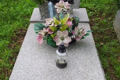IS_20150731_122954