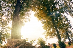IS__DSC0148_HDR3